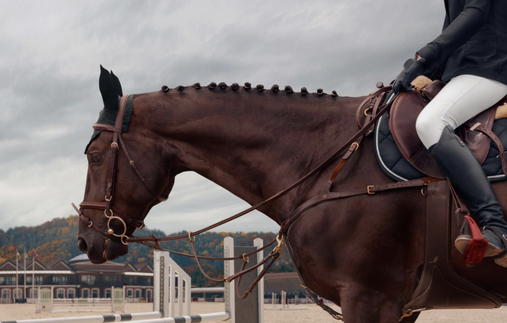 Cheltenham Festival horse racing